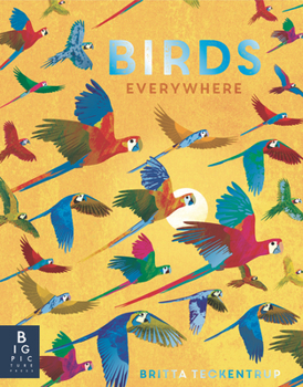 Birds Everywhere - Book  of the Animals Everywhere
