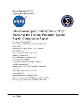 International Space Station/Shuttle "Flip" Maneuver for Thermal Protection System Repair Consultation Report