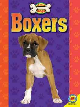 Paperback Boxers Book