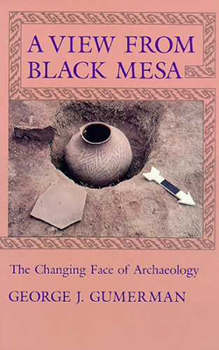 Paperback A View from Black Mesa: The Changing Face of Archaeology Book
