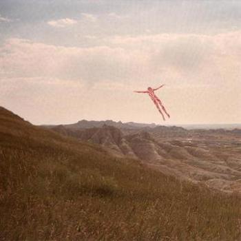 Vinyl Skinless Takes A Flight  (Limited Marble Book