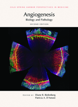 Hardcover Angiogenesis: Biology and Pathology Book