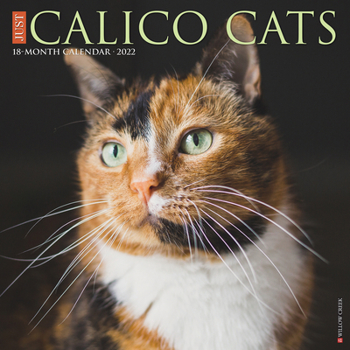 Calendar Just Calico Cats 2022 Wall Calendar (Cat Breed) Book