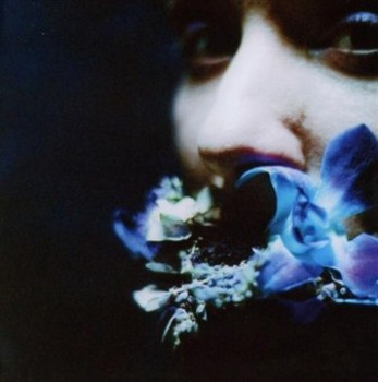 Music - CD Reaching For Indigo Book