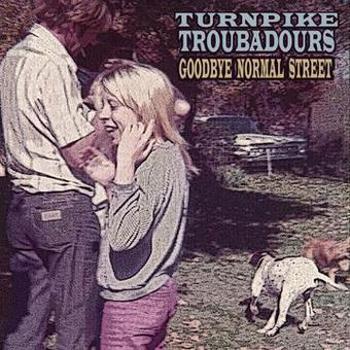 Vinyl Goodbye Normal Street Book