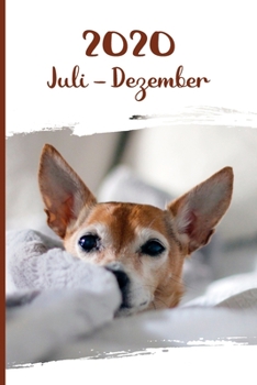 Kalender 2020: Chihuahua Hunde Tageskalender 2. Halbjahr Juli Dezember ca DIN A5 weiß über 190 Seiten (German Edition)