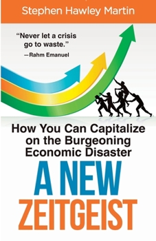 Paperback A New Zeitgeist: How You Can Capitalize on the Burgeoning Economic Disaster Book