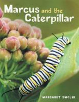 Paperback Marcus and the Caterpillar Book