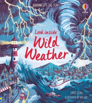 Look Inside Wild Weather - Book  of the Usborne Look Inside