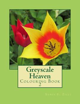 Paperback Greyscale Heaven: Colouring Book 2 Book