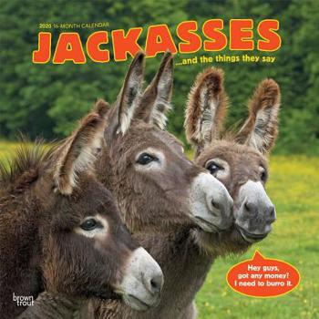 Calendar Jackasses 2020 Square Book