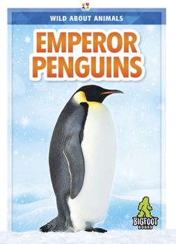 Hardcover Emperor Penguins Book