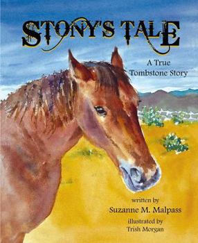 Hardcover Stony's Tale: A True Tombstone Story Book