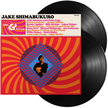 Vinyl Jake & Friends Book