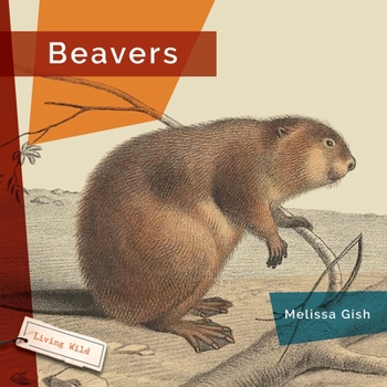 Hardcover Beavers Book