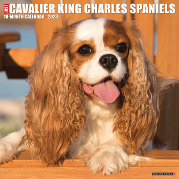 Calendar Just Cavalier King Charles Spaniels 2023 Wall Calendar Book