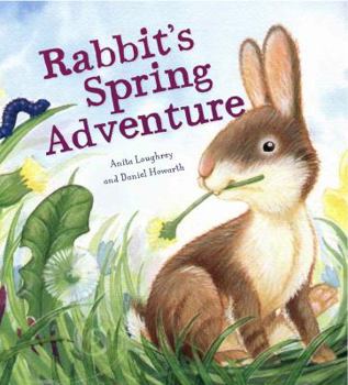 Hardcover Rabbit's Spring Adventure Book