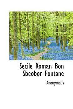 Hardcover Secile Roman Bon Sbeobor Fontane Book
