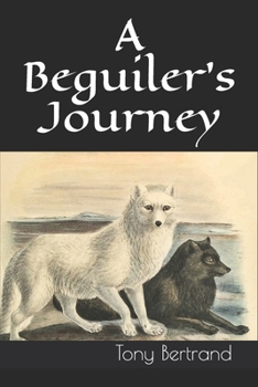 Paperback A Beguiler's Journey Book