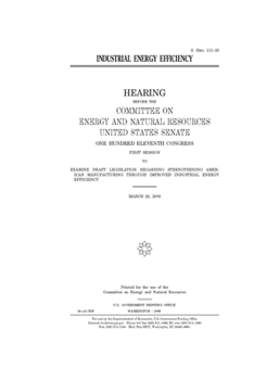 Paperback Industrial energy efficiency Book