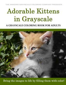 Paperback Adorable Kittens: A Grayscale Coloring Book for Adults Book