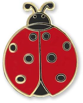 Hardcover Enamel Pin Ladybug Book