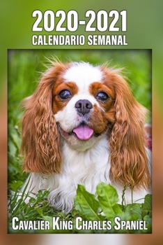 2020-2021 Calendario Semanal Cavalier King Charles Spaniel Calendario: 221 P�ginas Tama�o A5 24 Meses 1 Semana en 2 P�ginas Planificador Agenda Semana Vista Can�filo Perro En Espa�ol