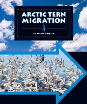 Arctic Tern Migration - Book  of the Animal Migrations