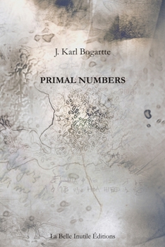 Paperback Primal Numbers Book