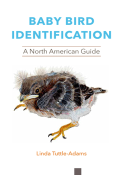 Paperback Baby Bird Identification: A North American Guide Book