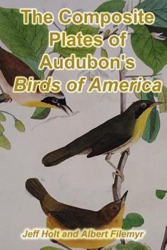 Paperback The Composite Plates of Audubon's Birds of America Book