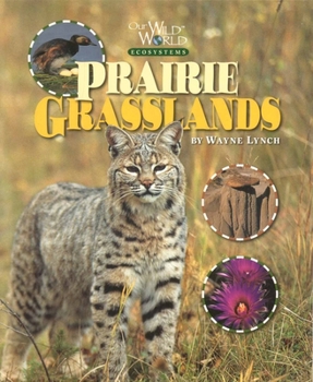 Paperback Prairie Grasslands (Our Wild World Ecosystems) Book