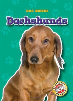 Dachshunds - Book  of the Dog Breeds