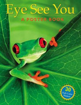Paperback Eye See You: A Poster Book