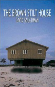 Paperback The Brown Stilt House Book