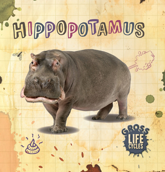 Paperback Hippopotamus Book