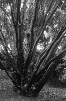 Hardcover Places of the Heart: Designing for Ecstatic Bliss & Progressive Evolution Book