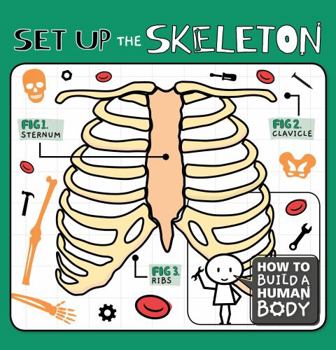 Hardcover Set Up the Skeleton Book
