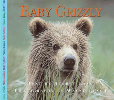 Baby Grizzly Bear (Nature Babies) - Book  of the Nature Babies