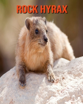 Rock Hyrax: Amazing Facts about Rock Hyrax