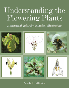 Paperback Understanding the Flowering Plants: A Practical Guide for Botanical Illustrators Book