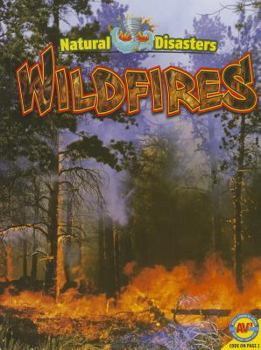 Wildfires - Book  of the Natural Disasters