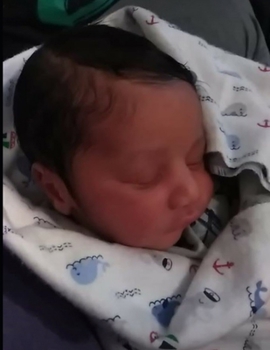 Paperback Little Lavard: Our Little Bundle Of Joy Book