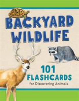 Hardcover Backyard Wildlife: 101 Flashcards for Discovering Animals Book
