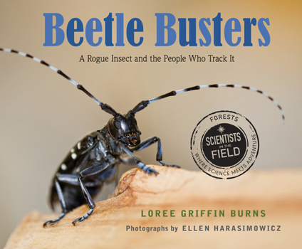 Hardcover Beetle Busters: A Rogue Insect and the People Who Track It Book