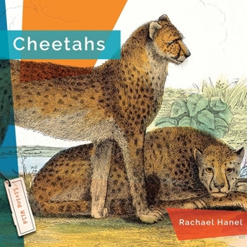 Paperback Cheetahs Book