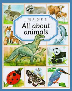 Hardcover All about Animals Book
