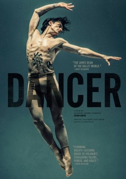 DVD Dancer Book