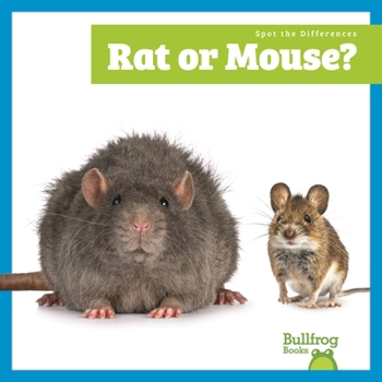 Rat or Mouse?