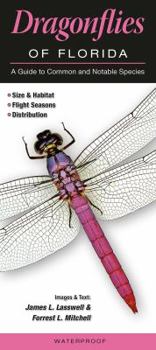 Pamphlet Dragonflies of Florida: A Guide to Common & Notable Species Book